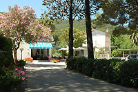 Procchio beach: 3 star Hotel Edera - for your vacation on the island of Elba
