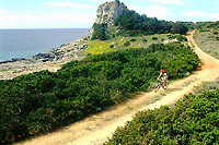 Mountainbike auf der Insel Elba
