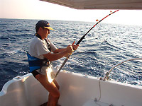 Fishing trips Elba island